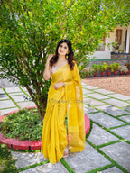 Tissue linen saree | NCC35