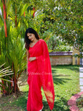 Organza saree with embroidered floral border | NCC36
