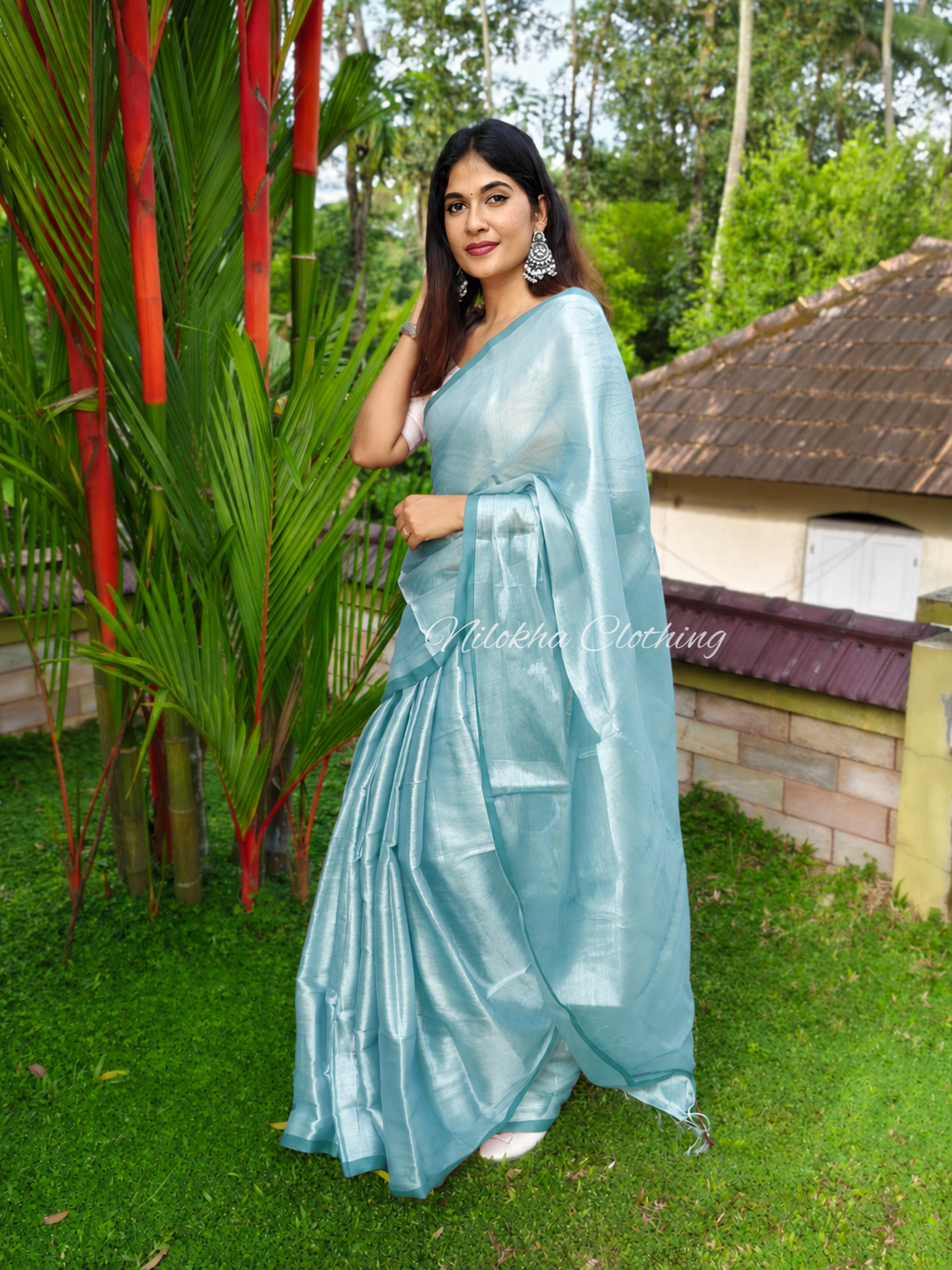 Raga tissue saree | NCB21